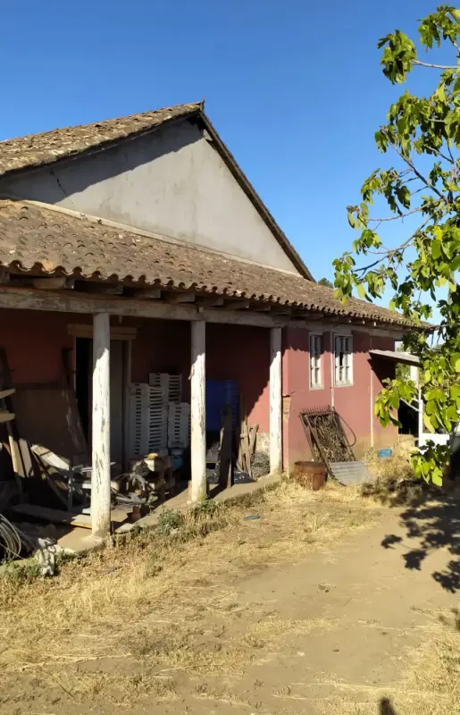 Restauración patrimonial en tierra